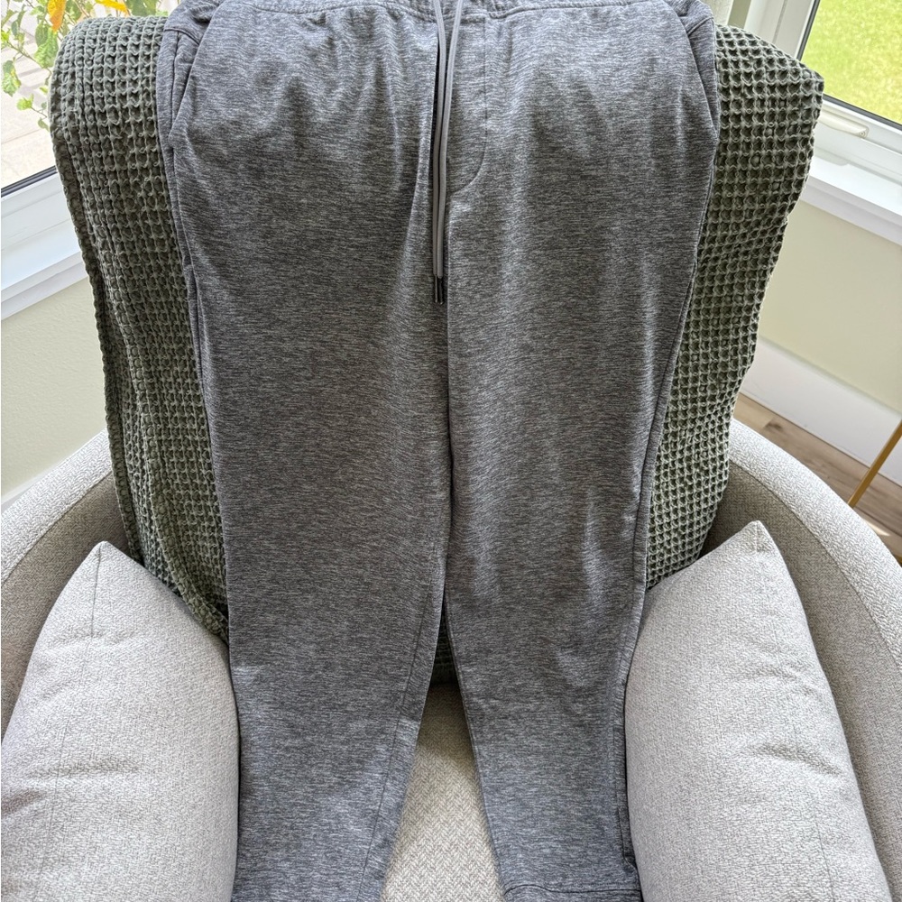 Express Heather Gray Joggers